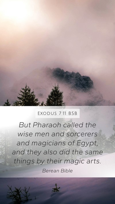 Exodus 7:11 BSB Bible Verse Image