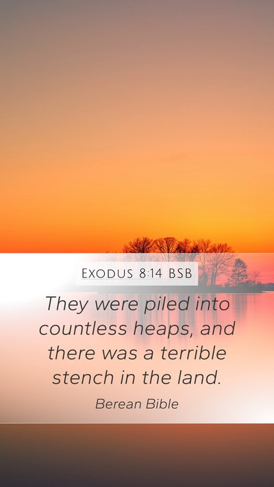 Exodus 8:14 BSB Mobile Phone Wallpaper - They were piled into countless heaps, and there - Mobile Bible Verse Wallpaper