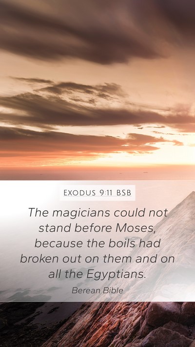 Exodus 9:11 BSB Bible Verse Image