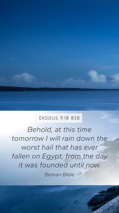 Exodus 9:18 BSB Bible Verse Image