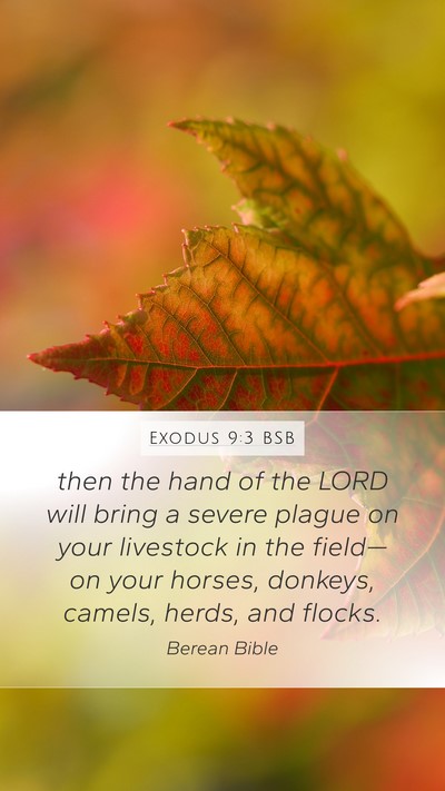 Exodus 9:3 BSB Bible Verse Image