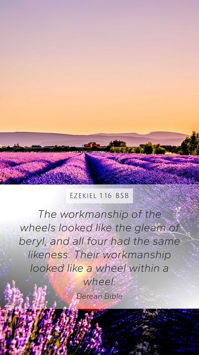 Ezekiel 1:16 BSB Bible Verse Image