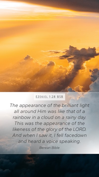 Ezekiel 1:28 BSB Bible Verse Image