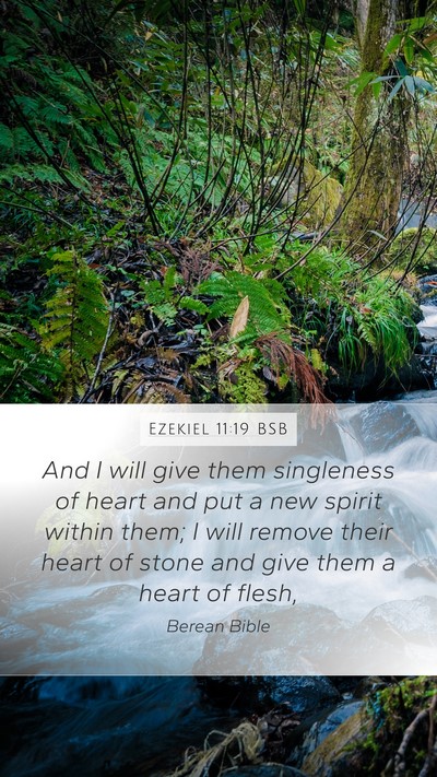Ezekiel 11:19 BSB Bible Verse Image