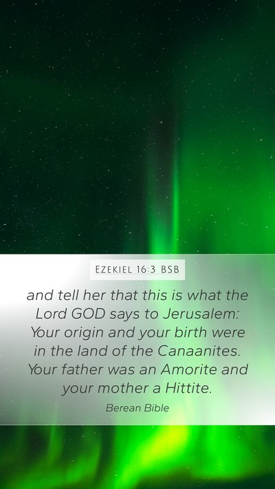 Ezekiel 16:3 BSB Bible Verse Image