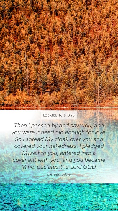 Ezekiel 16:8 BSB Bible Verse Image