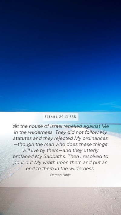 Ezekiel 20:13 BSB Bible Verse Image