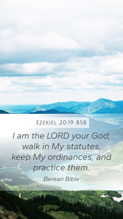 Ezekiel 20:19 BSB Bible Verse Image