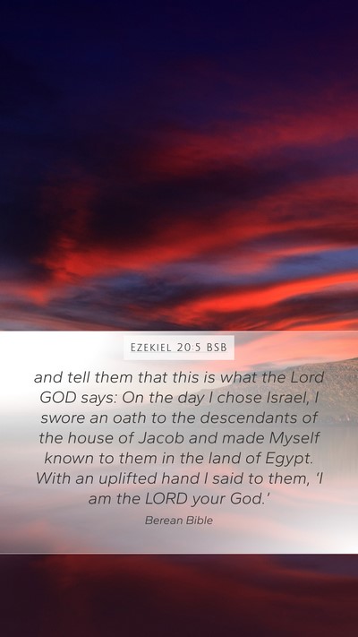 Ezekiel 20:5 BSB Bible Verse Image
