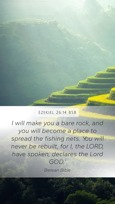 Ezekiel 26:14 BSB Bible Verse Image