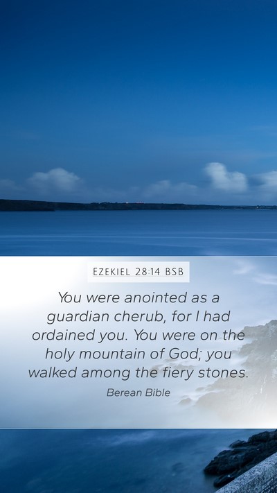 Ezekiel 28:14 BSB Bible Verse Image