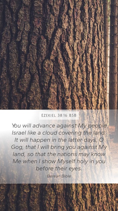 Ezekiel 38:16 BSB Bible Verse Image