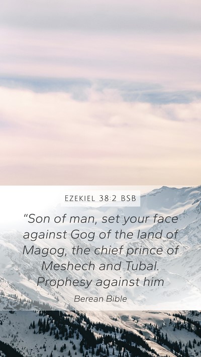 Ezekiel 38:2 BSB Bible Verse Image