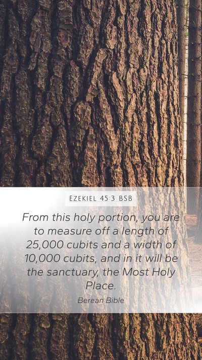 Ezekiel 45:3 BSB Bible Verse Image