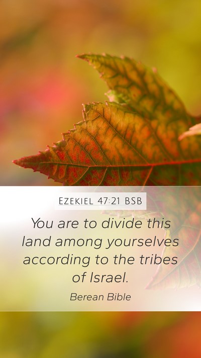 Ezekiel 47:21 BSB Bible Verse Image