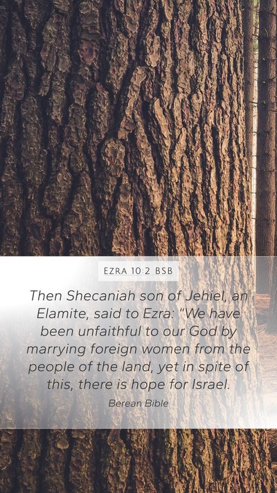 Ezra 10:2 BSB Bible Verse Image