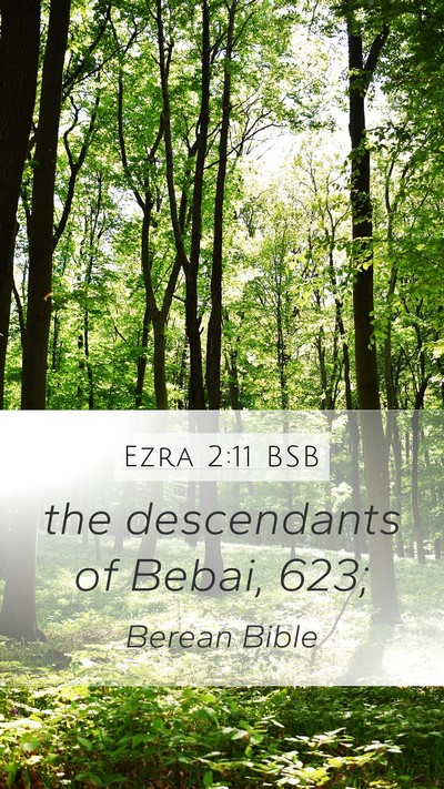 Ezra 2:11 BSB Bible Verse Image