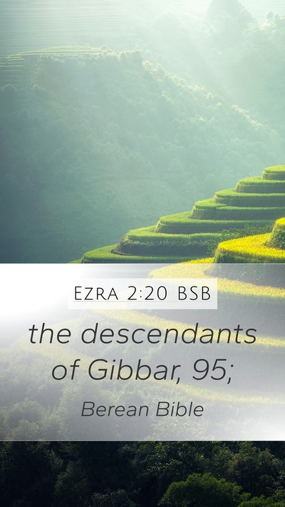 Ezra 2:20 BSB Bible Verse Image