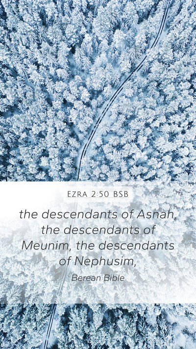 Ezra 2:50 BSB Bible Verse Image
