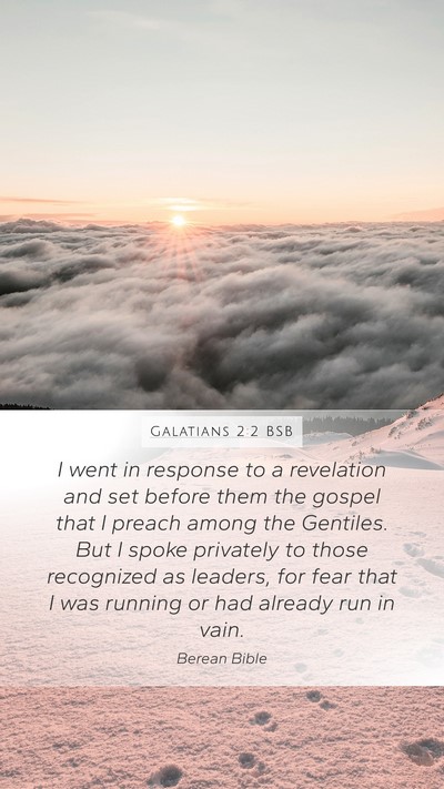 Galatians 2:2 BSB Bible Verse Image