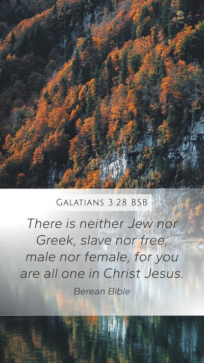 Galatians 3:28 BSB Bible Verse Image