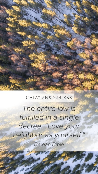 Galatians 5:14 BSB Bible Verse Image