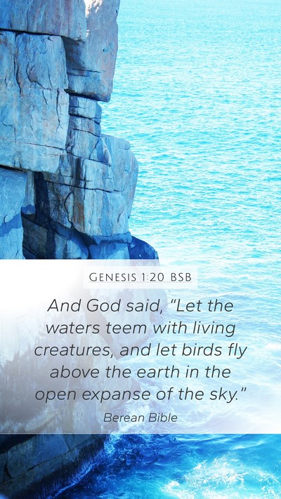 Genesis 1:20 BSB Bible Verse Image