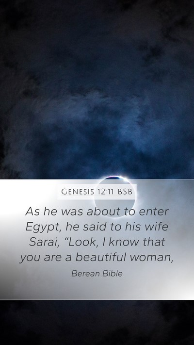Genesis 12:11 BSB Bible Verse Image