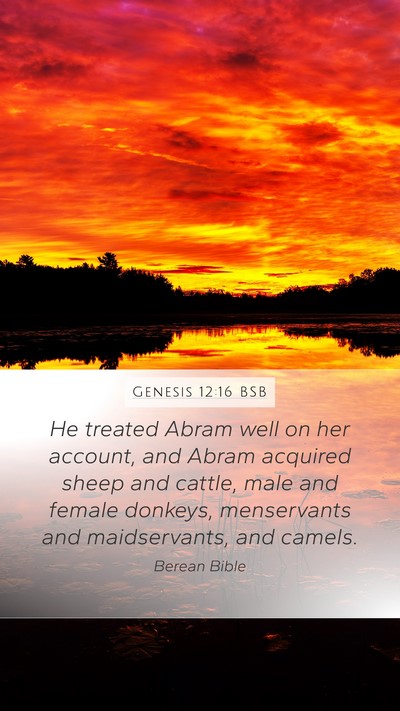 Genesis 12:16 BSB Bible Verse Image