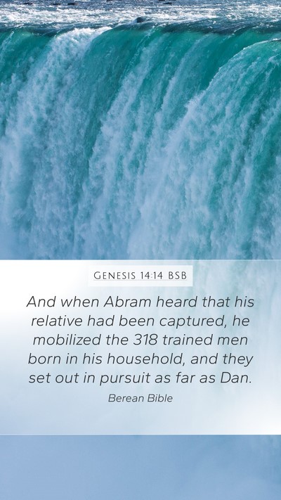 Genesis 14:14 BSB Bible Verse Image