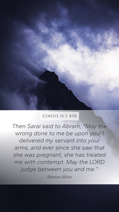 Genesis 16:5 BSB Bible Verse Image