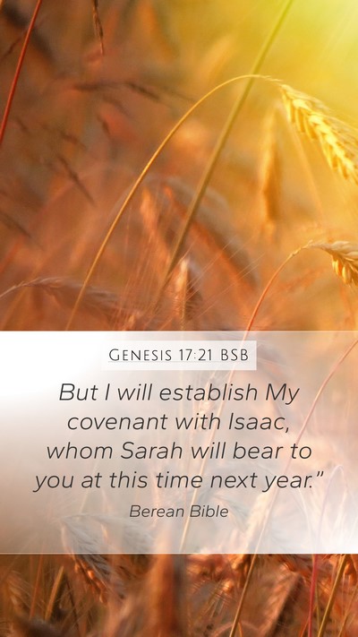 Genesis 17:21 BSB Bible Verse Image