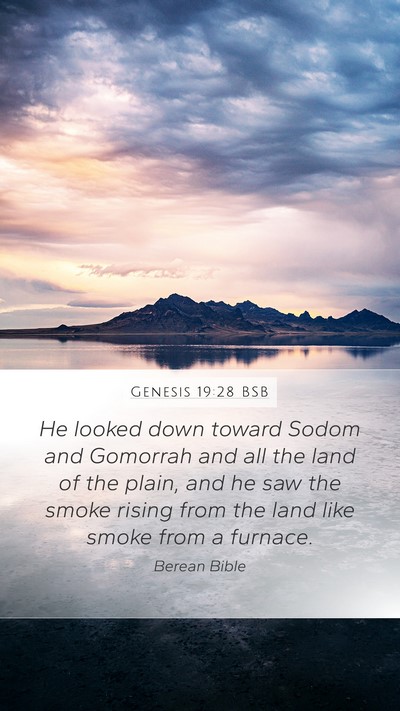 Genesis 19:28 BSB Bible Verse Image