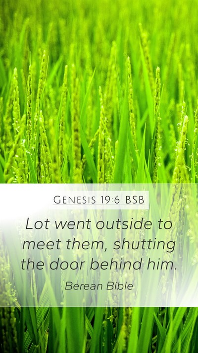 Genesis 19:6 BSB Mobile Phone Wallpaper - Lot went outside to meet them, shutting the door - Mobile Bible Verse Wallpaper