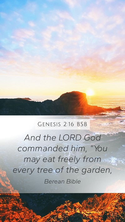 Genesis 2:16 BSB Bible Verse Image