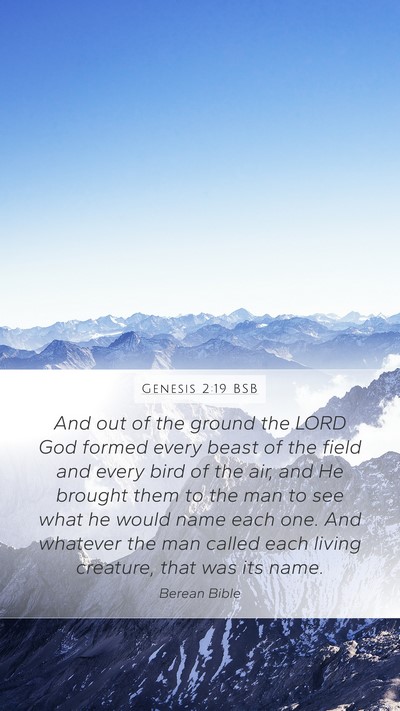 Genesis 2:19 BSB Bible Verse Image