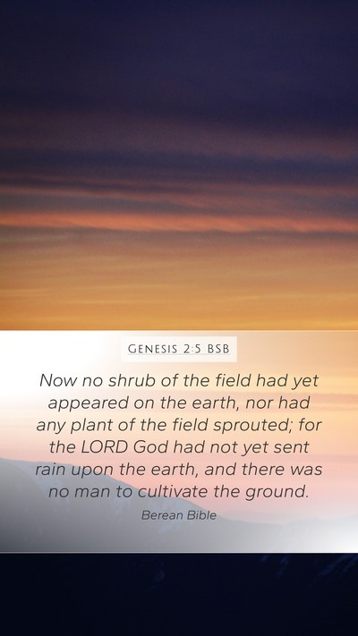 Genesis 2:5 BSB Mobile Phone Wallpaper - Now no shrub of the field had yet appeared on the - Mobile Bible Verse Wallpaper