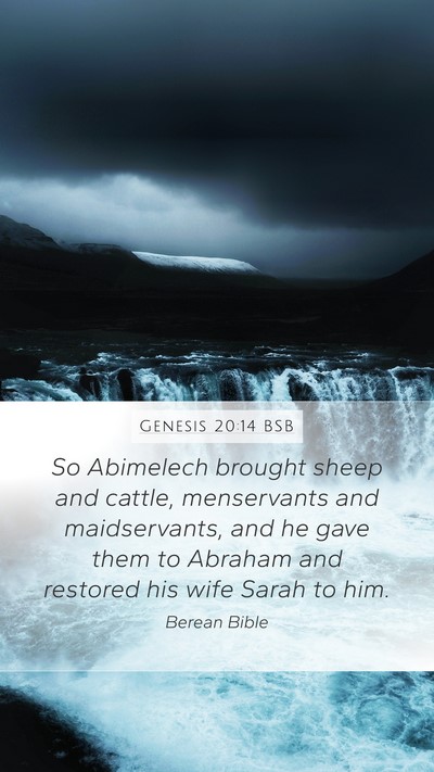 Genesis 20:14 BSB Bible Verse Image