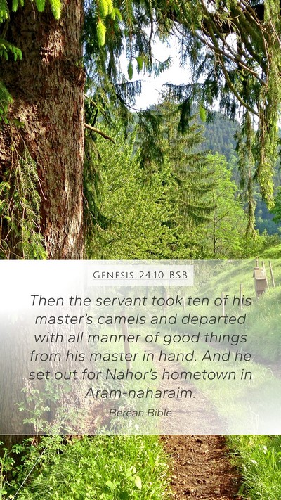 Genesis 24:10 BSB Bible Verse Image