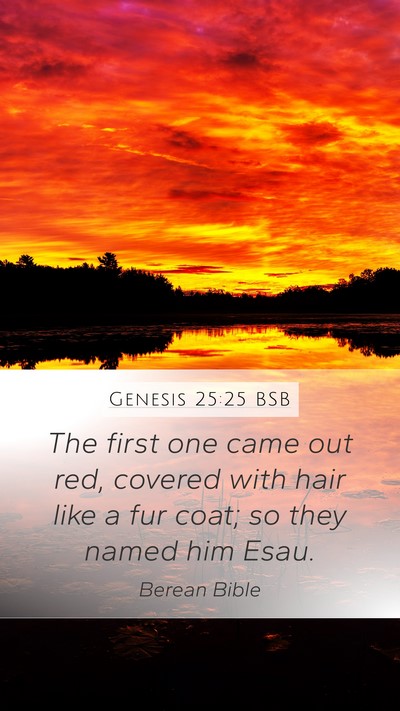 Genesis 25:25 BSB Bible Verse Image