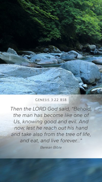 Genesis 3:22 BSB Bible Verse Image