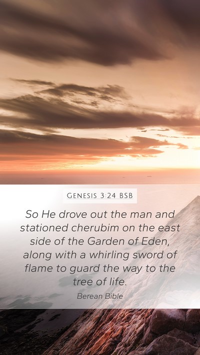 Genesis 3:24 BSB Bible Verse Image