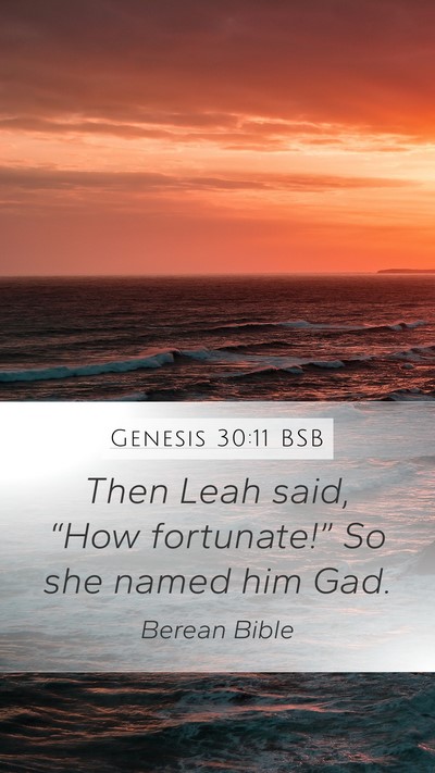 Genesis 30:11 BSB Mobile Phone Wallpaper - Then Leah said, “How fortunate!” So she named - Mobile Bible Verse Wallpaper