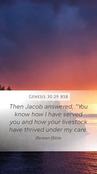 Genesis 30:29 BSB Bible Verse Image