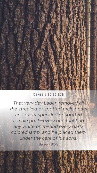 Genesis 30:35 BSB Bible Verse Image