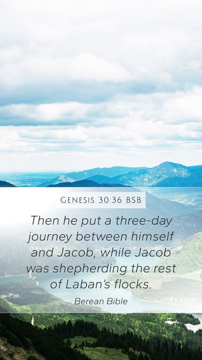 Genesis 30:36 BSB Bible Verse Image