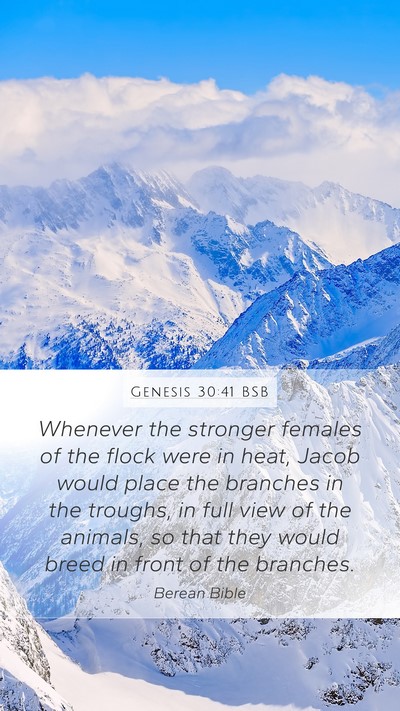 Genesis 30:41 BSB Mobile Phone Wallpaper - Whenever the stronger females of the flock were - Mobile Bible Verse Wallpaper