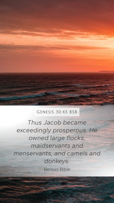 Genesis 30:43 BSB Bible Verse Image