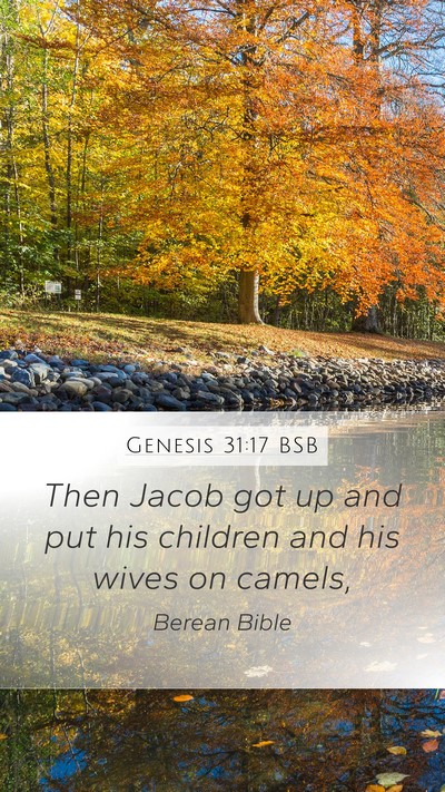 Genesis 31:17 BSB Bible Verse Image