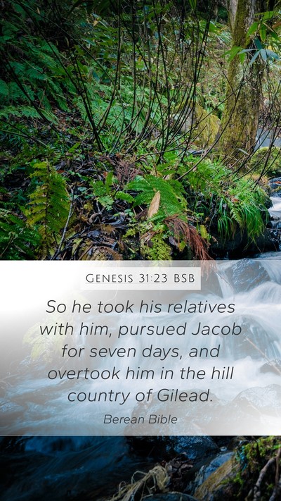 Genesis 31:23 BSB Bible Verse Image